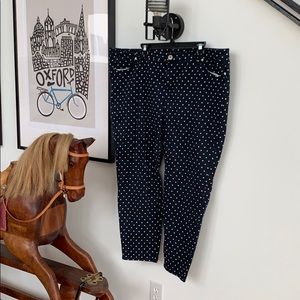 Navy and white polka dot pants 24W